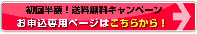 ひとてまいが初回半額！送料無料キャンペーン！お申込専用ページはこちらから！