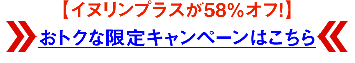 イヌリンプラスが【58％オフ！】＞＞おトクな限定キャンペーンはこちら＜＜