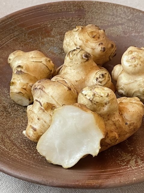 菊芋(キクイモ)の効果効能